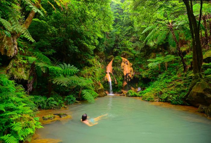 A person enjoying a soak in a natural hot spring nestled within a lush forest.