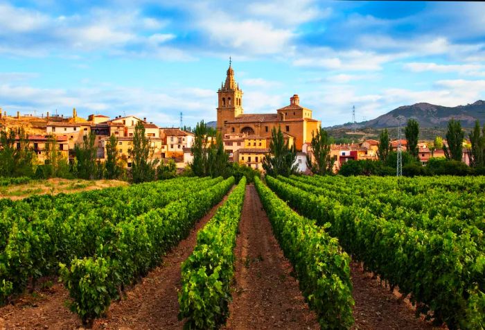 Lush green vineyards frame a charming old town, with a church nestled among classic buildings.