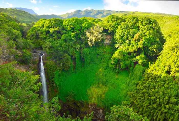 A stunning waterfall gracefully cascading from towering cliffs, set within a lush landscape that exemplifies natural beauty.