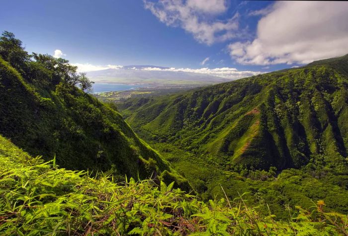 Mountains lined with dense forests viewed from a ridge.