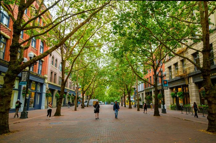 People stroll along the historic, tree-lined Occidental Walk Avenue in Seattle's Pioneer Square neighborhood.