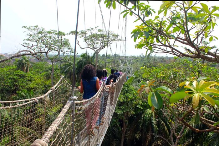 Thrill seekers atop Africa's longest canopy walkway at Lekki Conservation Center