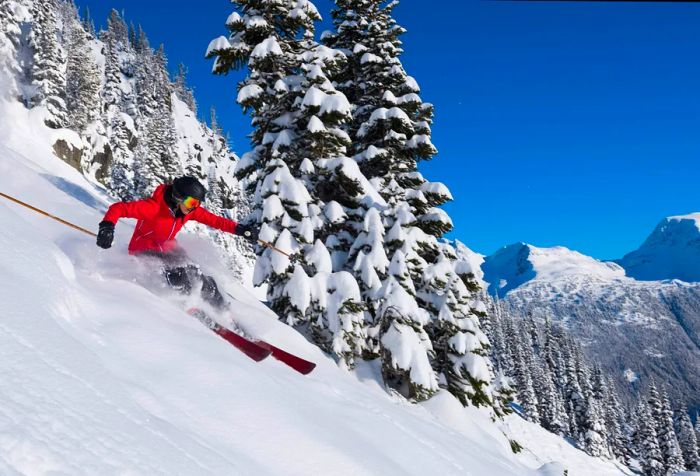 A female skier gracefully descends the snowy slopes of a mountain.