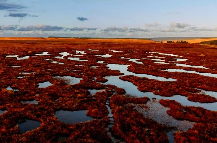 Peat bogs scattered across Scotland.