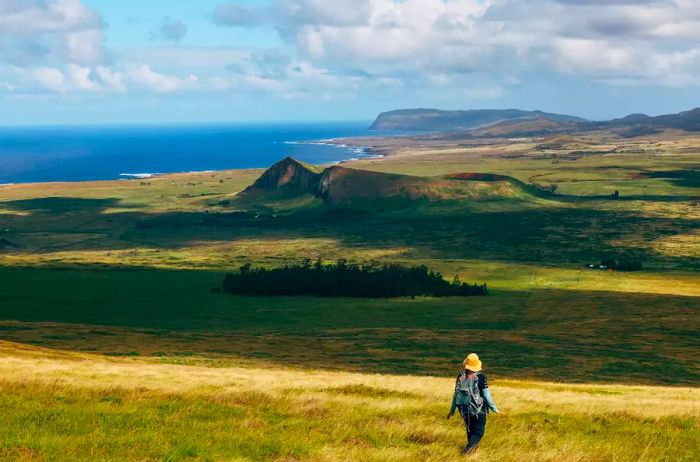 A hiker traversing a field with the ocean visible in the background.