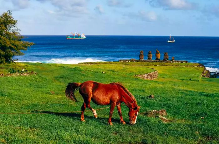 A horse peacefully grazing near a beach on Rapa Nui, Chile.