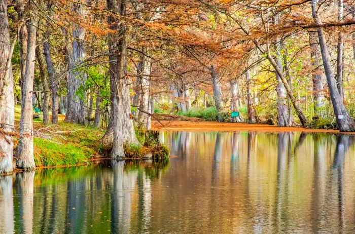 Autumn at Blue Hole Park, Wimberley