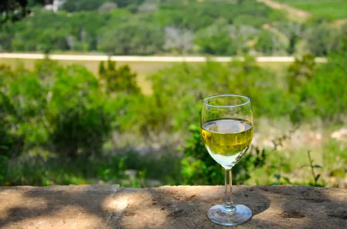 Scenic view with a glass of white wine overlooking the hill country