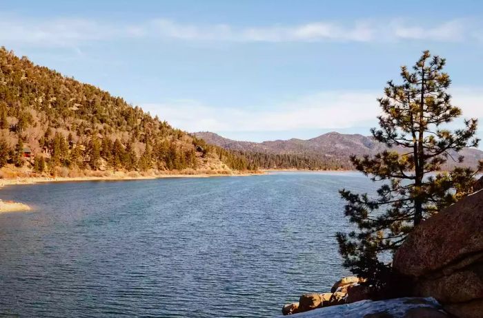 A view of the coastline along Big Bear Lake