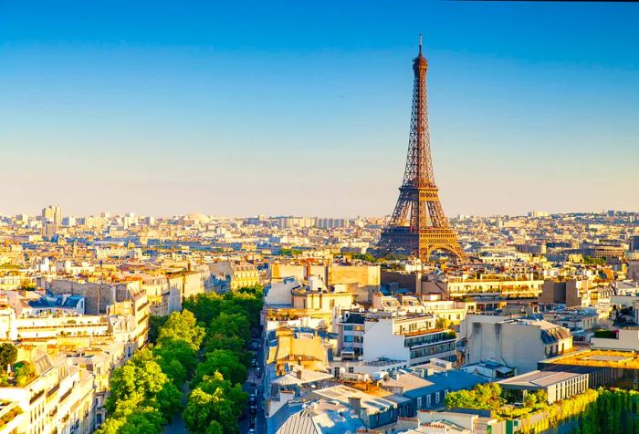 A stunning city with tree-lined streets and the iconic Eiffel Tower gracing the skyline.