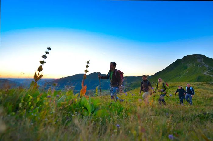 Hikers wander through wildflowers at Puy Mary