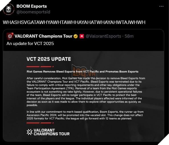 Bleed Esports Valorant