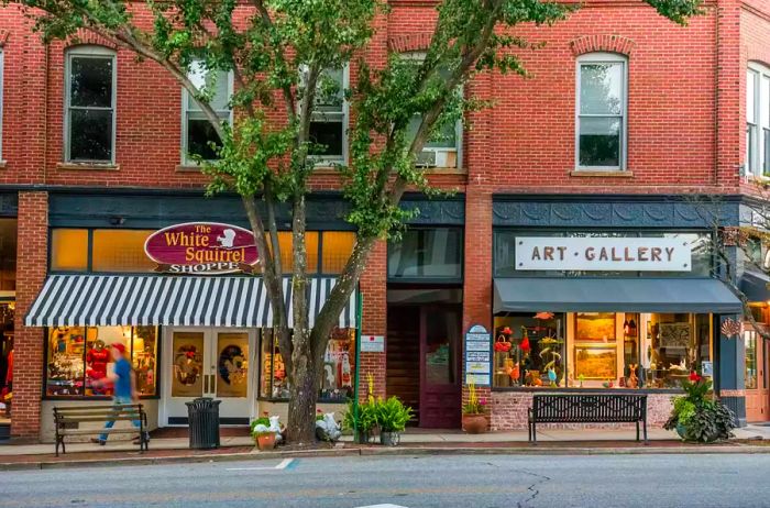 A man strolls through downtown Brevard, passing by various shops and galleries.