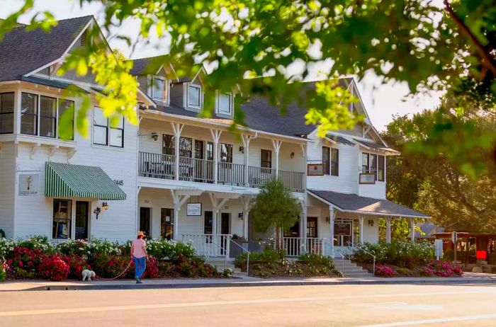 A person strolling with their dog along the main street of Los Olivos, California