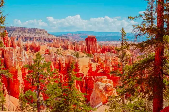 Bryce Canyon