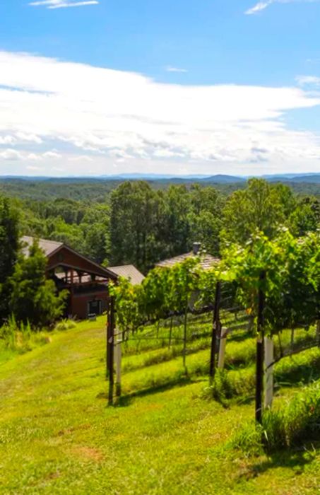 A picturesque vineyard in Dahlonega, Georgia