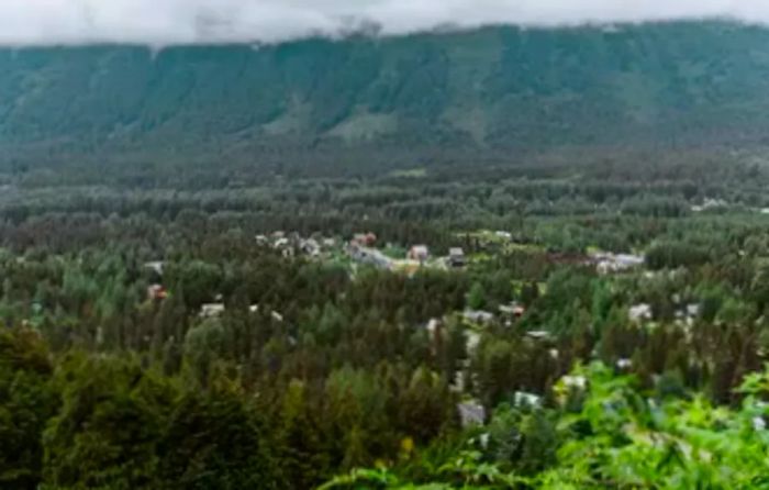 Aerial view showcasing Girdwood, Alaska, enveloped by lush green trees and misty clouds