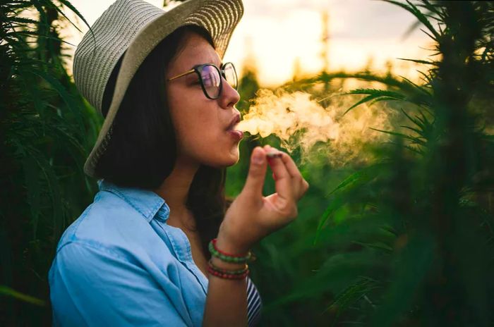 Profile of a stunning woman in a hat enjoying a joint amidst a marijuana plantation at sunset.