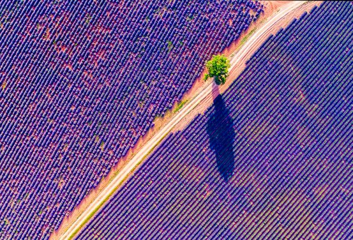 k-dest_france_provence_gettyimages-967138238-scaled