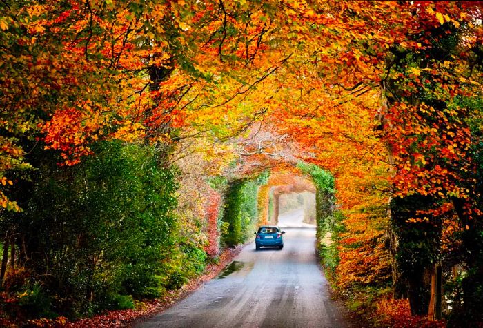 dest_ireland_wicklow_theme_car_driving-gettyimages-636364038-scaled