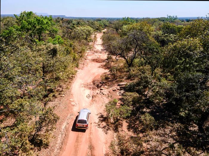 A jeep navigates a reddish, dusty road lined with trees.