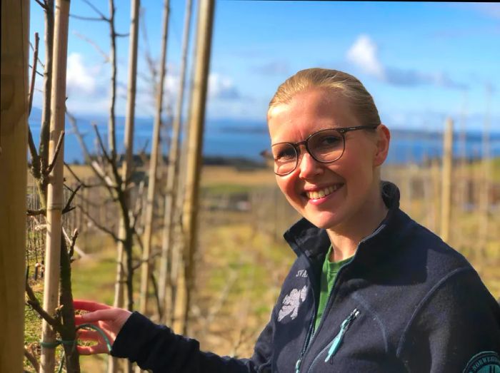 Maren Myrvold, a chef and apple grower, caresses the branch of a tree in an apple orchard in Inderøy, Trøndelag, Norway