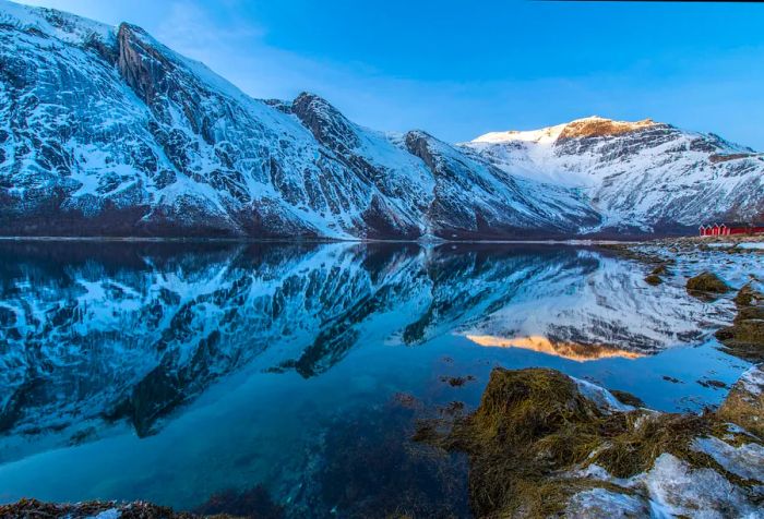 DEST_NORWAY_NARVIK_Skjomen-fjord_Blaisen-glacier_GettyImages-977501308