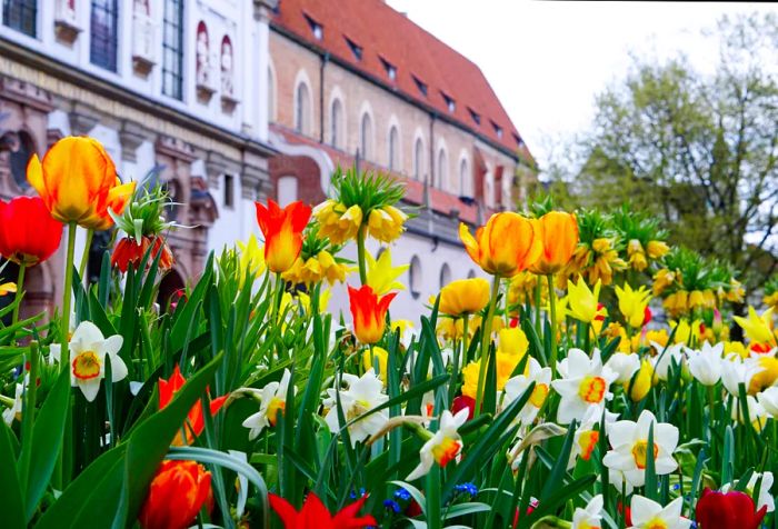 A burst of colorful, lively flowers adorns the landscape in front of towering buildings.