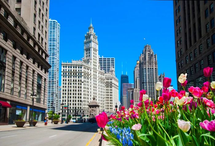 A paved street lined with towering, iconic buildings.