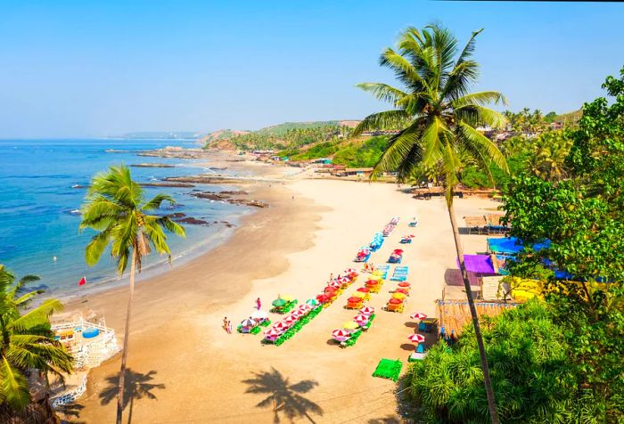 Rows of vibrant sunbeds and umbrellas line the soft sands of a wide beach beneath a clear blue sky.