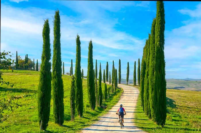 An elderly woman enjoying a ride on her electric mountain bike along a picturesque cypress avenue in Tuscany, Italy