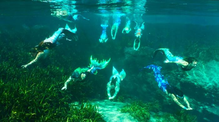 Ten mermaids gracefully dive into the waters of a Florida spring, swimming towards the camera.