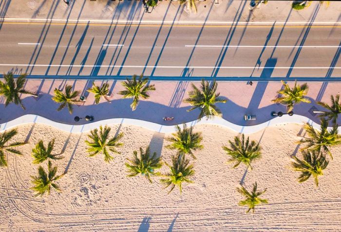 A vacant street beside a tree-lined promenade featuring a curvy concrete wall that divides the beach.