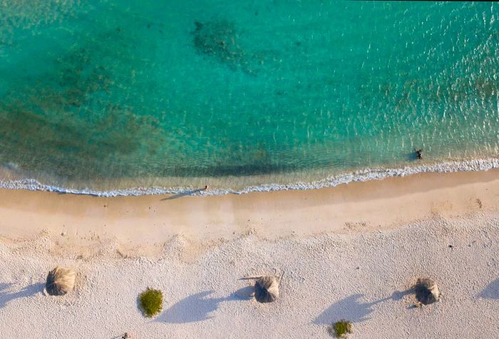 A stunning beach with soft white sand, dotted with inviting palapas along the shore.