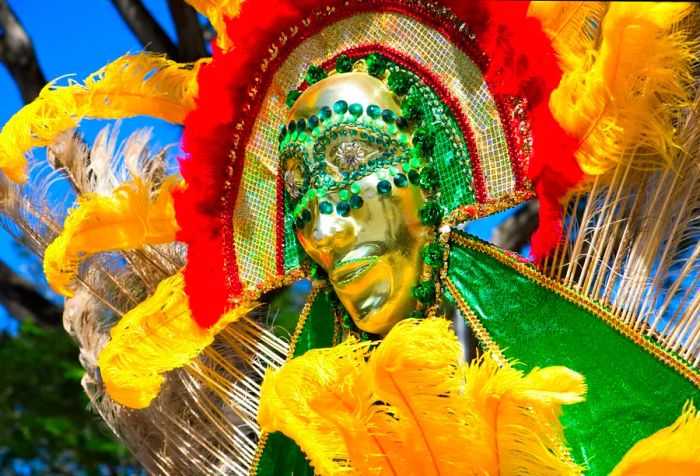 A dazzling carnival costume adorned with feathers and beads.