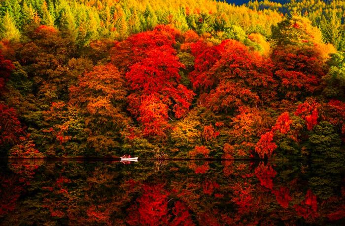 A rowboat on Loch Faskally reflects the vibrant fall foliage from surrounding trees, located in Pitlochry, Perthshire, Scotland, United Kingdom