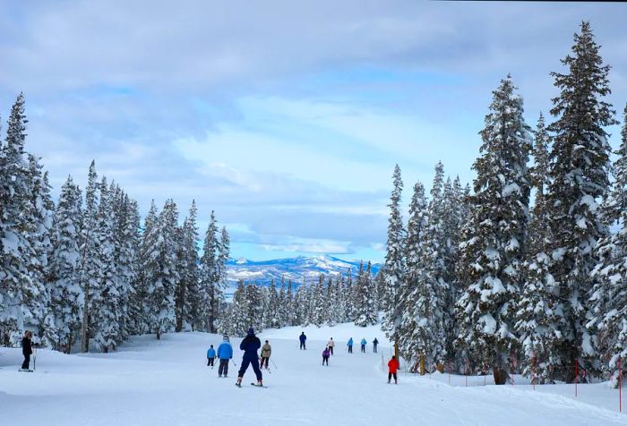 Skiers enjoy the slopes at a resort, surrounded by towering frosty pine trees and majestic snow-capped mountains.