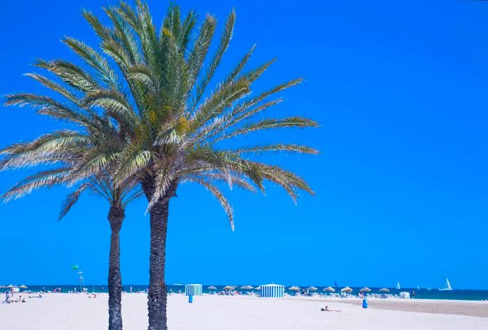 DEST_SPAIN_VALENCIA_LAS_ARENAS_BEACH_GettyImages-478299459-1.jpg