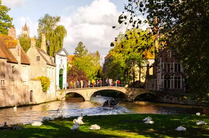 Visitors crossing a bridge with swans gliding in a park in Bruges