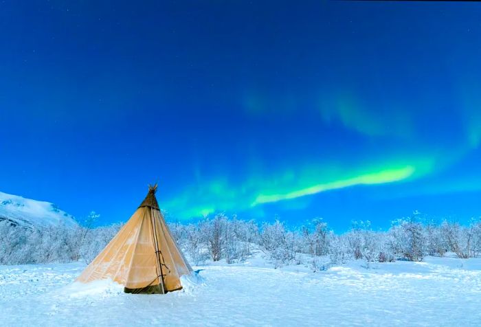 A Lavvu tent set up on a snowy expanse, illuminated by the swirling northern lights in a blue sky.