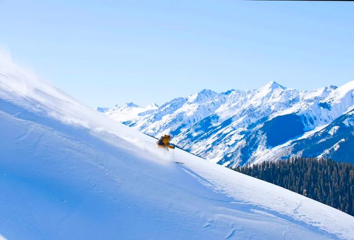 A skier gracefully descends a vast mountain run, with towering peaks and a lush valley stretching into the distance.