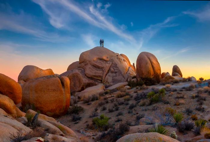 DEST_USA_CALIFORNIA_JOSHUA-TREE_GettyImages-166723399