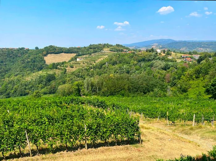 Collio-region-of-Friuli-Venezia-Giulia-Photo-by-Katryna-Snow.jpg