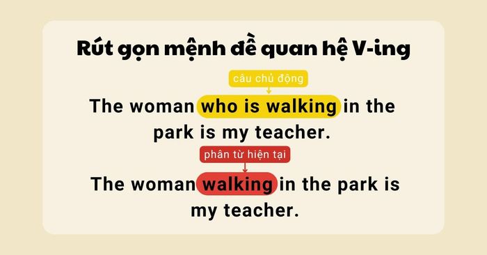 bài tập trắc nghiệm về rút gọn mệnh đề quan hệ cho lớp 11
