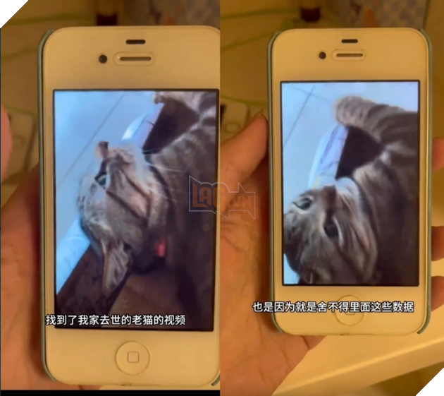 Mở khóa chiếc iPhone 4S sau 10 năm chỉ vì nhớ về video mèo cưng.