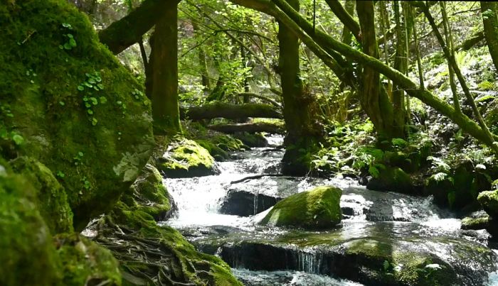 by Joe Sills Route of Water and Stone.jpg