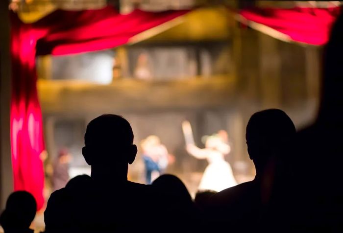 The silhouettes of audience members can be seen as they eagerly watch a performance unfold on stage.