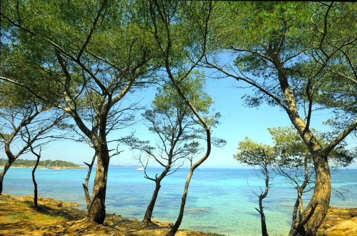 Rocky shores of Porquerolles Island against the azure waters of the Mediterranean on the French Riviera