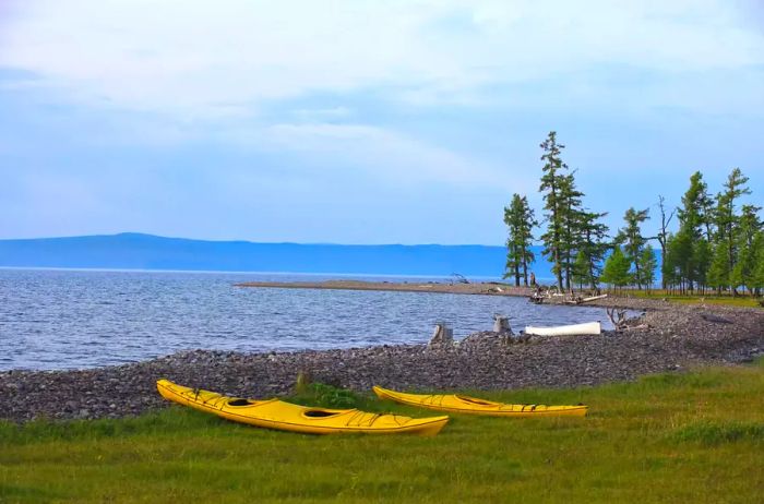 Two yellow kayaks resting by a lake