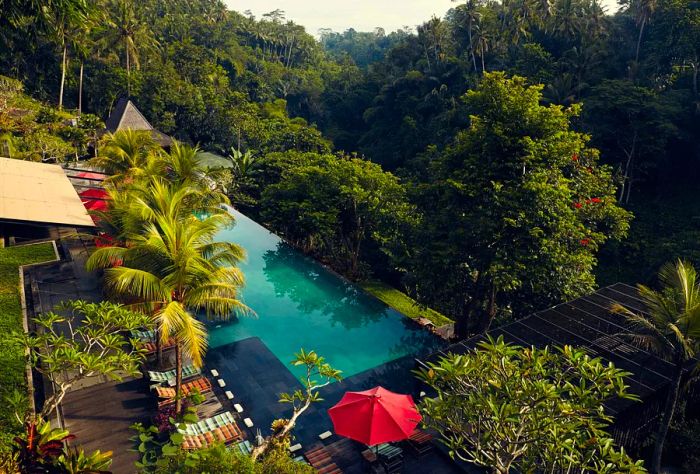 A luxurious resort featuring a pool surrounded by lush greenery.